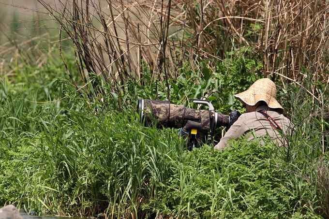 鸟人的江湖——鸟人大山雀的鸟世界