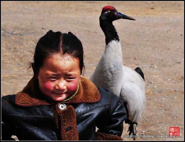 云南省昭通大山包黑颈鹤国家级自然保护区条例