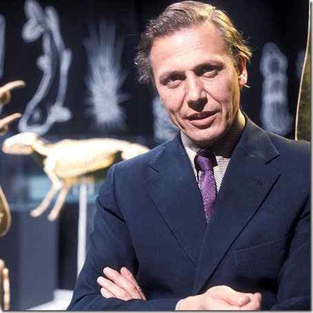 大卫&bull;艾登堡的鸟类世界The Life of Birds