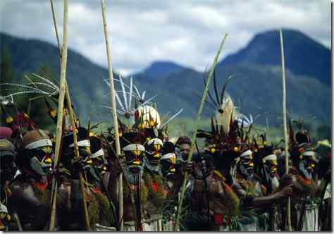 巴布亚新几内亚人随鸟起舞