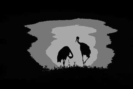 多种色调【组图】