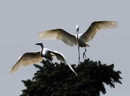 轻歌曼舞话象山