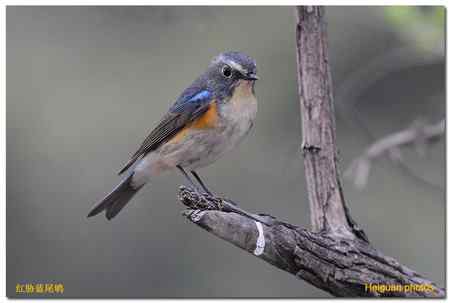 新相机到手，试机拍片。