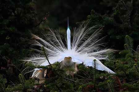 瞬间，浓缩了一生的美