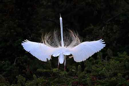 瞬间，浓缩了一生的美