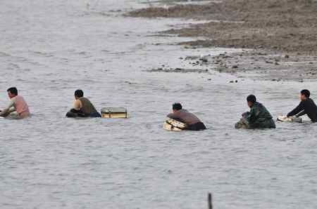不吐不快：深圳红树林 不和谐