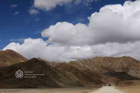 走进西藏观鸟【组图】