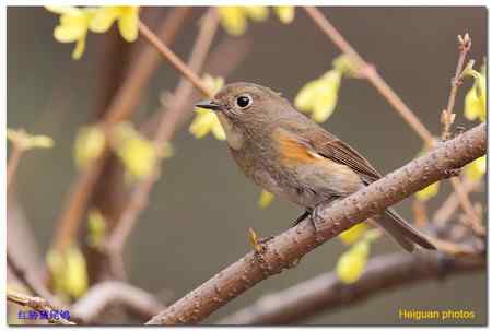 新相机到手，试机拍片。