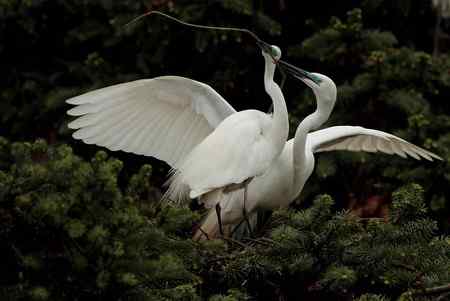 今日象山（阴）