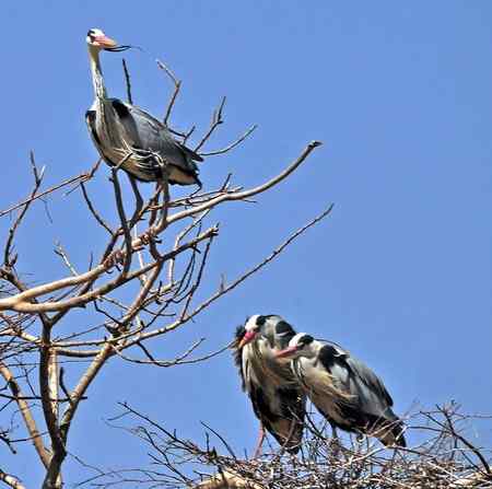 你们亲昵，我站岗，嘻嘻。