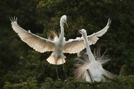 踏着夕阳归    连拍组照