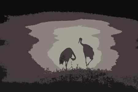 多种色调【组图】