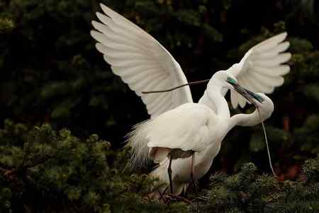今日象山（阴）