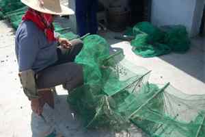 小鸊鷉的隐形杀手:地龙网