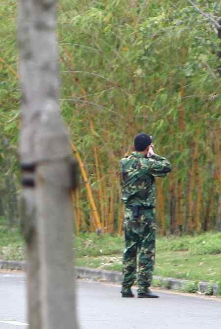 武警手持钢枪射杀鸟儿