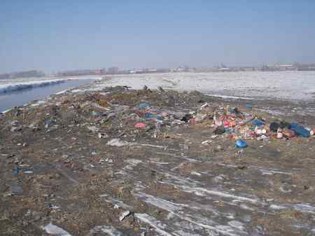 游玩长春西湖湿地，为鸟类祈祷！
