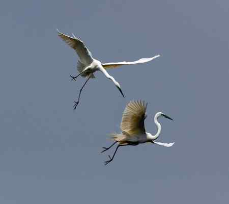 轻歌曼舞话象山 轻歌曼舞话象山
