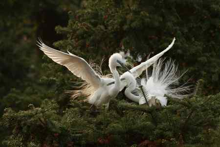 踏着夕阳归    连拍组照