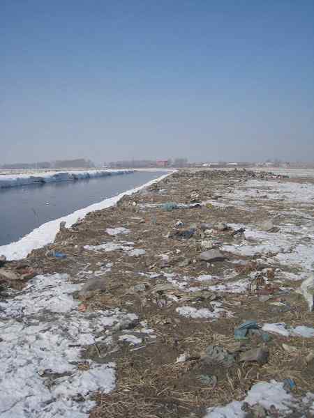 游玩长春西湖湿地，为鸟类祈祷！