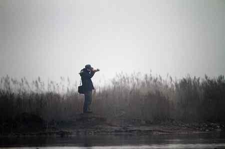 在天津大港湿地拍鸟观鸟