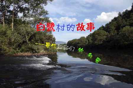 白鹭村的故事（情景图片童话）