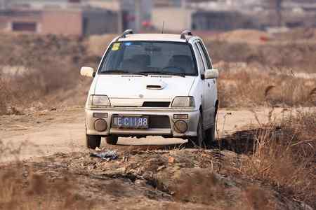 今天下午拍到的捕鸟贼!