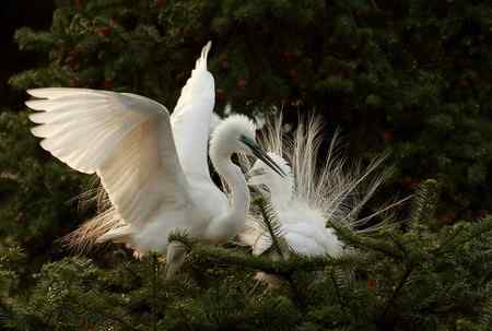 踏着夕阳归    连拍组照