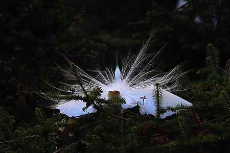 瞬间，浓缩了一生的美