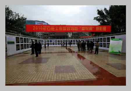 重庆石柱首次鸟类摄影艺术展