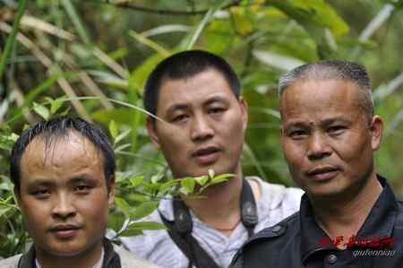 柳州发现海南鳽