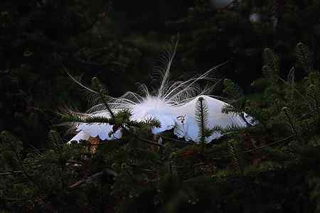 瞬间，浓缩了一生的美