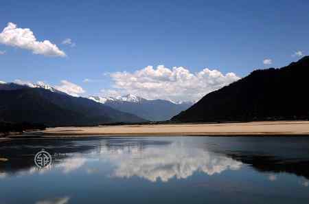 走进西藏观鸟【组图】