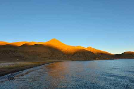 走进西藏观鸟【组图】