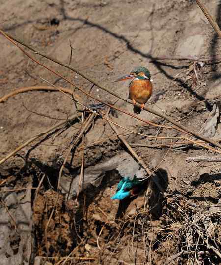 小翠媳妇的美好时代