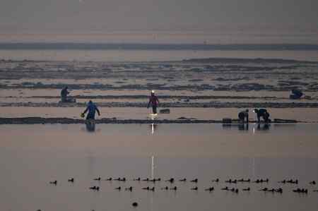不吐不快：深圳红树林 不和谐