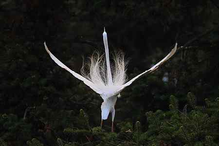 瞬间，浓缩了一生的美