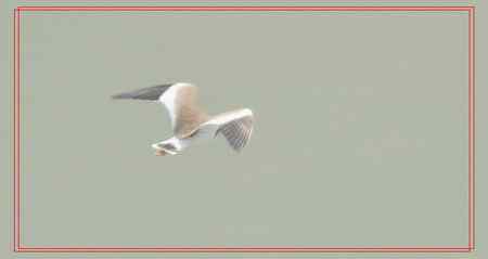 翱翔是人类追求的心愿