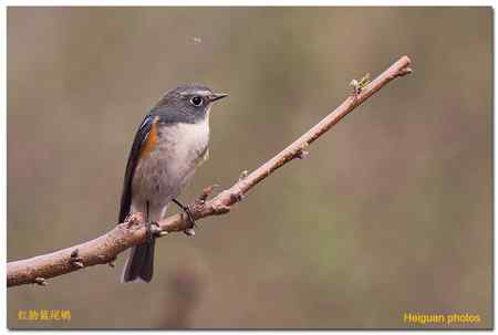 新相机到手，试机拍片。