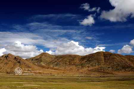 走进西藏观鸟【组图】