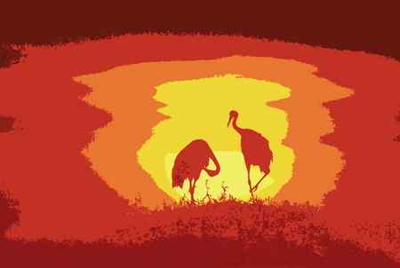 多种色调【组图】