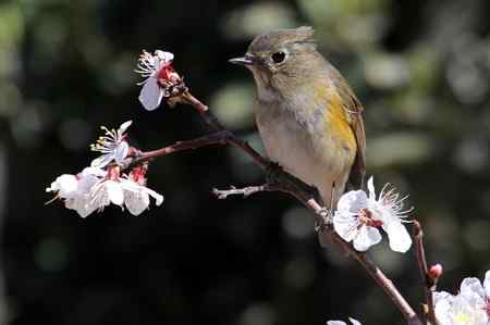 自留地里的菜鸟！