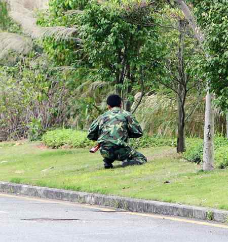 武警手持钢枪射杀鸟儿