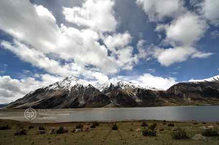 走进西藏观鸟【组图】