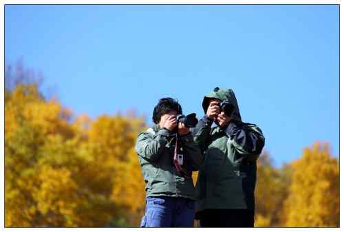 乌梁素海和坝上草原 观鸟