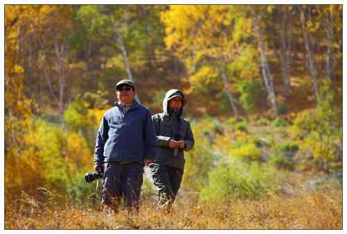 乌梁素海和坝上草原 观鸟