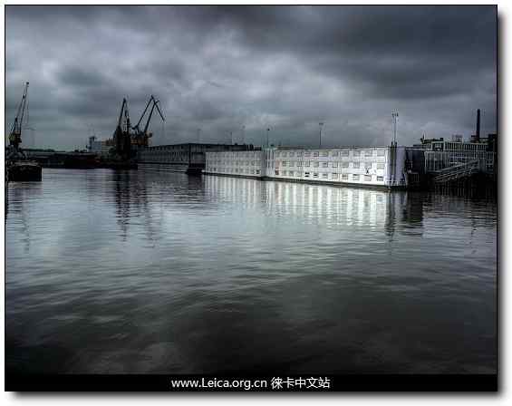 环保摄影奖 鸟类