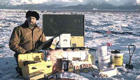 阿拉斯加老鼠成灾 鸟类濒于灭绝