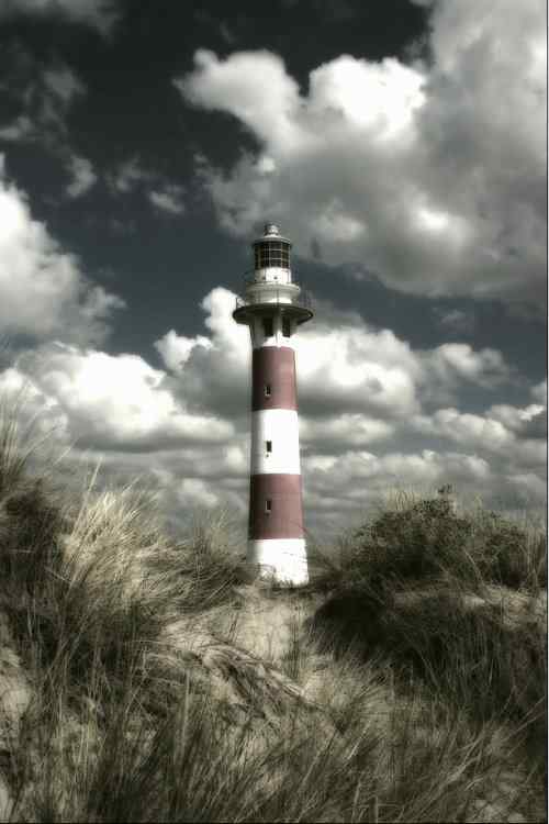 泰戈尔《飞鸟集》节选 生如夏花之绚烂,死如秋叶之静美 泰戈尔《飞鸟集》节选 生如夏花之绚烂,死如秋叶之静美