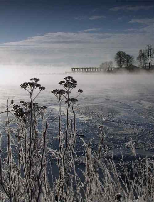 泰戈尔《飞鸟集》节选 生如夏花之绚烂,死如秋叶之静美 泰戈尔《飞鸟集》节选 生如夏花之绚烂,死如秋叶之静美