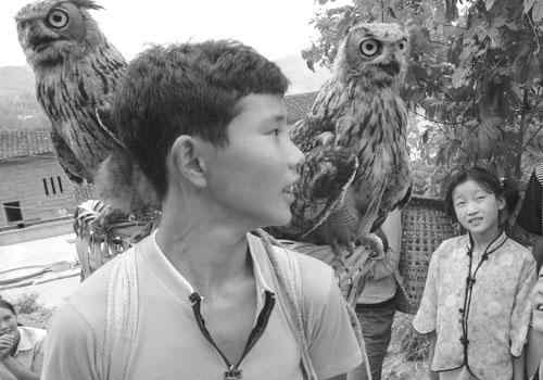 两只鸭蛋孵出猫头鹰 每天要吃一斤肉